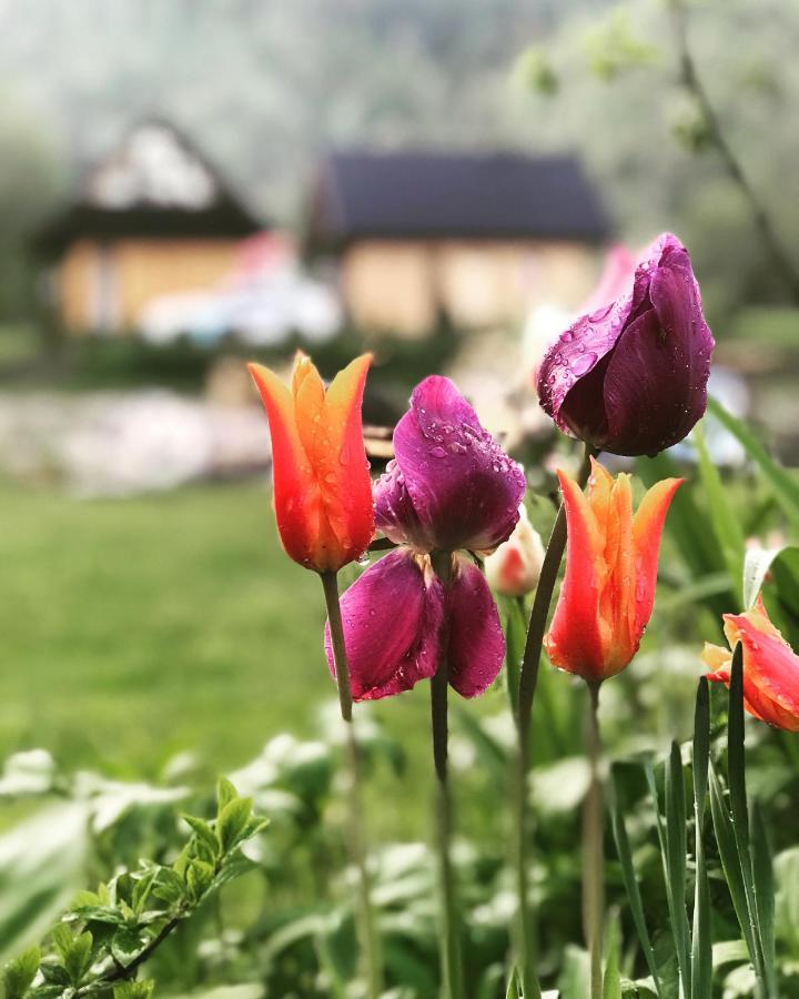 Mala Gorczanska Chatka Ochotnica Dolna Extérieur photo